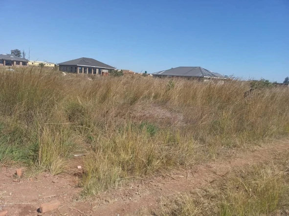 Stands & Residential Land