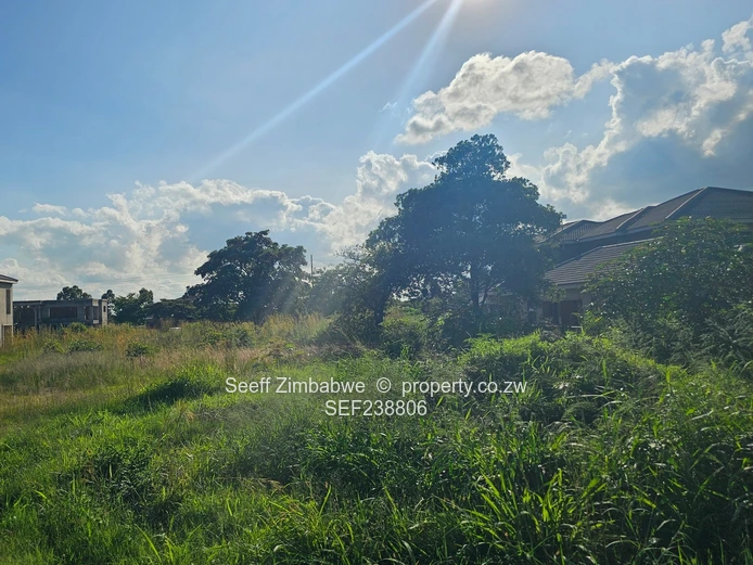 Investment opportunity in Arlington! (Sole Mandate)