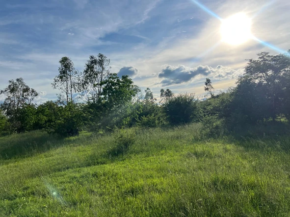 Farm & Agricultural Land