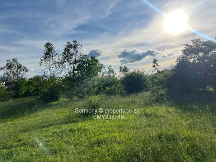 Agricultural Farm For Sale