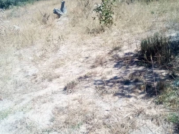 Plot For Sale (Sole Mandate)