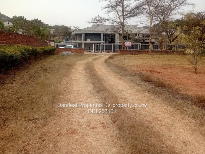 2000m² Carrick Creagh Stand — Main Road Frontage, Tarred Access