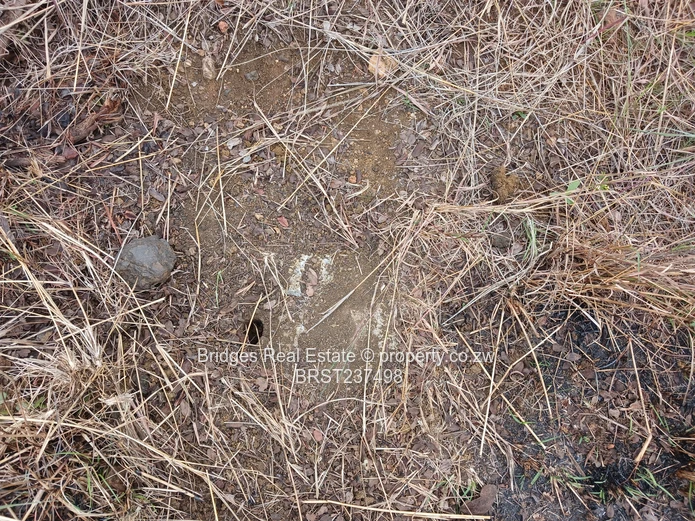 Fast establishing suburb in Gweru North! (Sole Mandate)