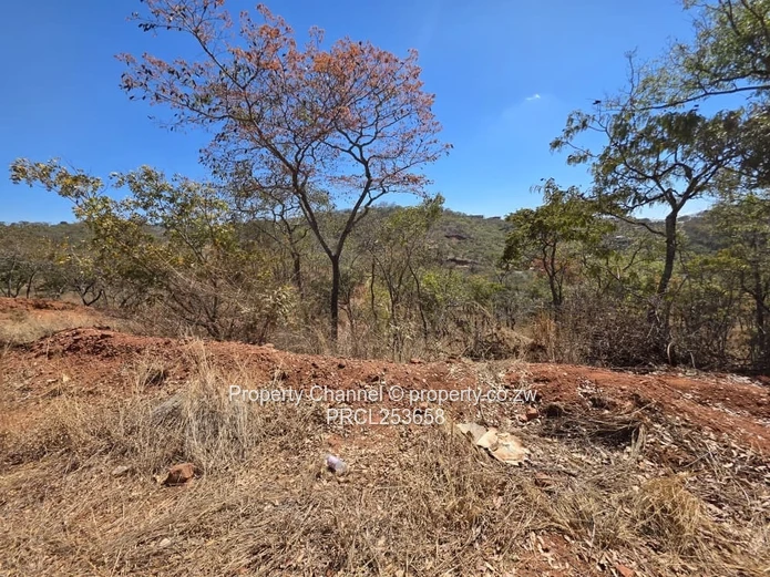 Stand For Sale In Gletwin (Police Area) 
