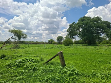 Farm & Agricultural Land