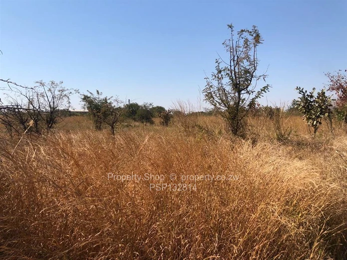  Rare Opportunity To Build A Warehouse Or Factory