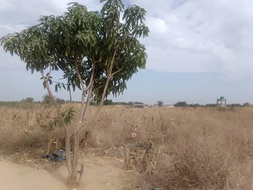 Commercial & Industrial Land