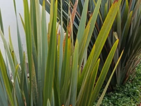 2 Bedroom Garden Flat