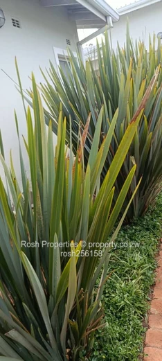 2-Bed Garden Flat Greendale North | Borehole