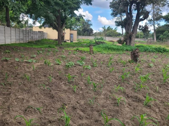 Stands & Residential Land