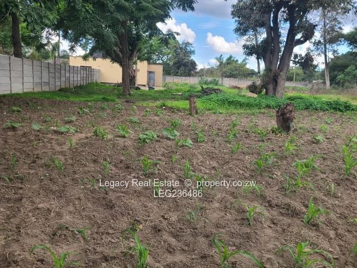 Prime Subdivision Stand For Sale – Waterfalls Near Zindoga Shops