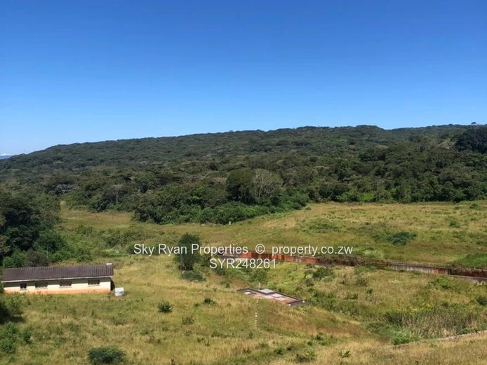 Chipinge Farms For Rent
