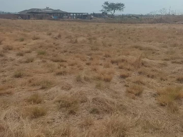 Farm & Agricultural Land