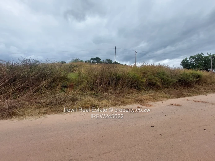 Shawasha Hills Stands on Sale (Sole Mandate)