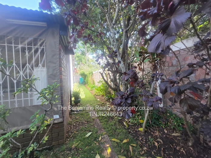 Garden Flat In Avondale