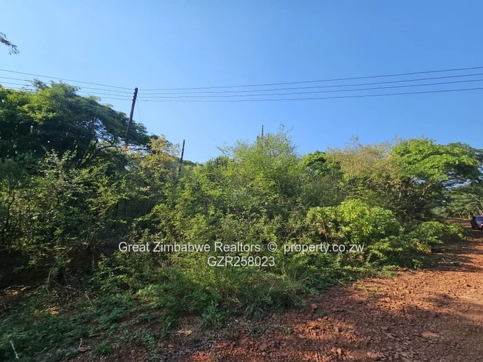 STAND FOR SALE IN BUSHMEAD TOWNSHIP, with Lakeview (Sole Mandate)