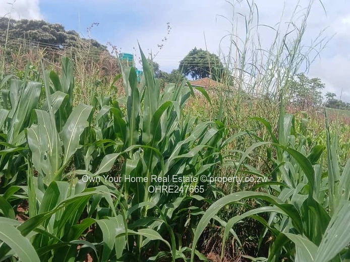 For sale is a 2337 square metre stand in Gletwin,