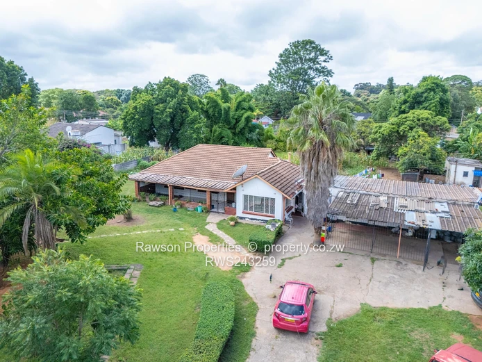 Golden Oldie in Hatfield