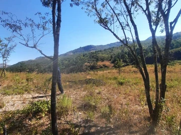 Bonda Nyamazi Mutasa Plot for sale 