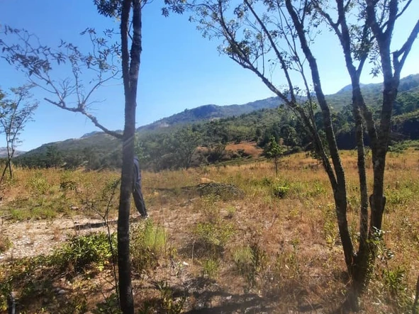 Bonda Nyamazi Mutasa Plot for sale 