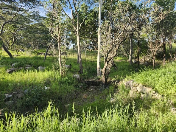 Farm & Agricultural Land