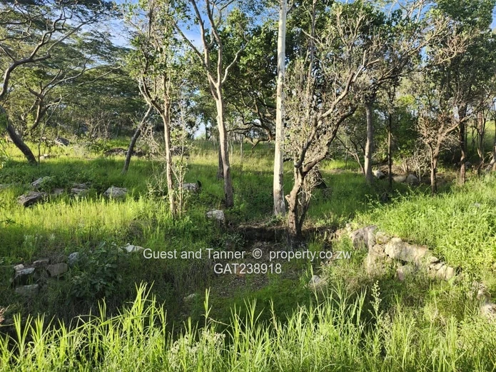 Ruwa Agro Residential Plot for Sale - 3.88ha with Farmhouse and Excellent Water Infrastructure