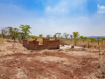 Farm & Agricultural Land