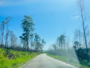 Farm & Agricultural Land