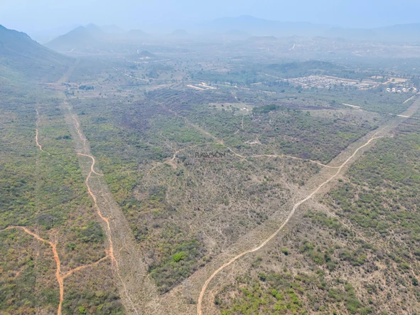 Farm & Agricultural Land