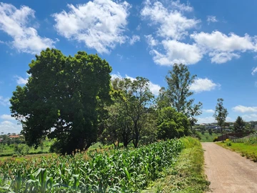 Stands & Residential Land