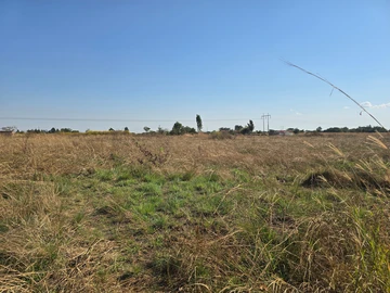 Stands & Residential Land