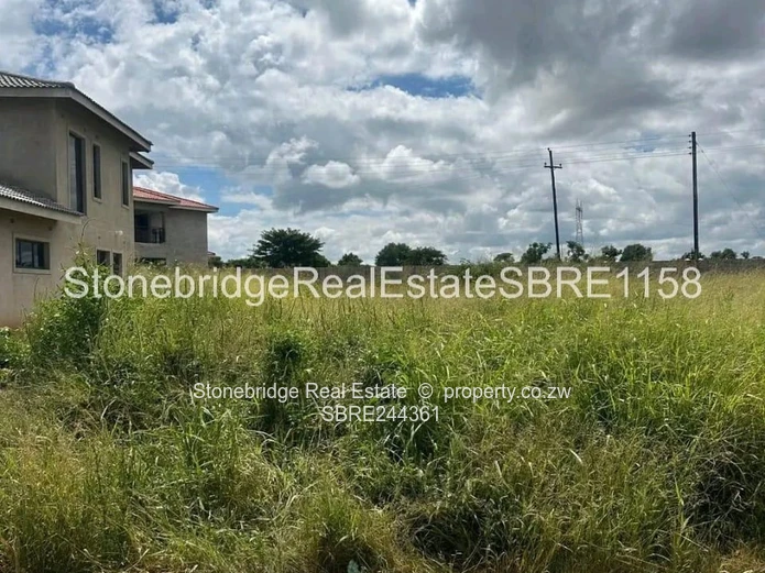 600SQM Stand For sale in Hopeville