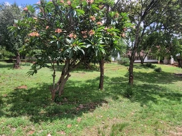 Commercial & Industrial Land