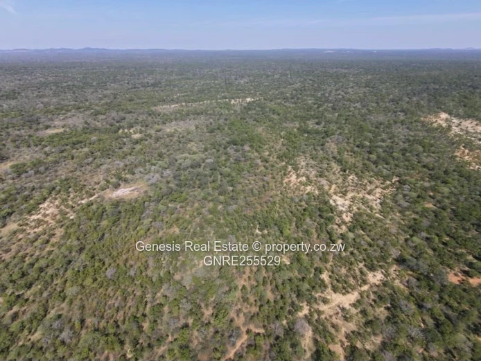 Magnificent virgin land for sale in Matabeleland South 