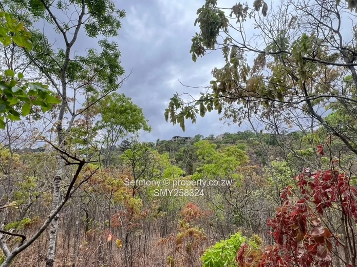 Exclusive Residential Stand In Brookeridge Estate