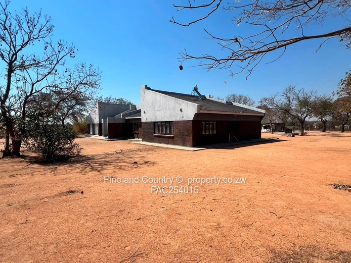 Prime Plot on the Main Road