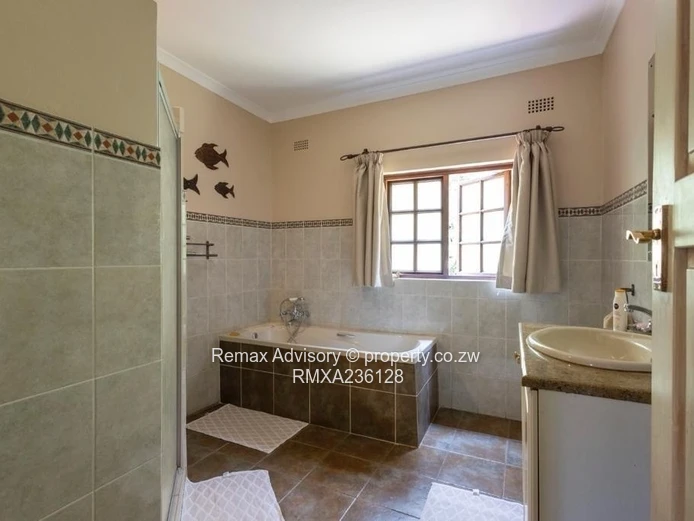 Tranquil Dream In The Brooke