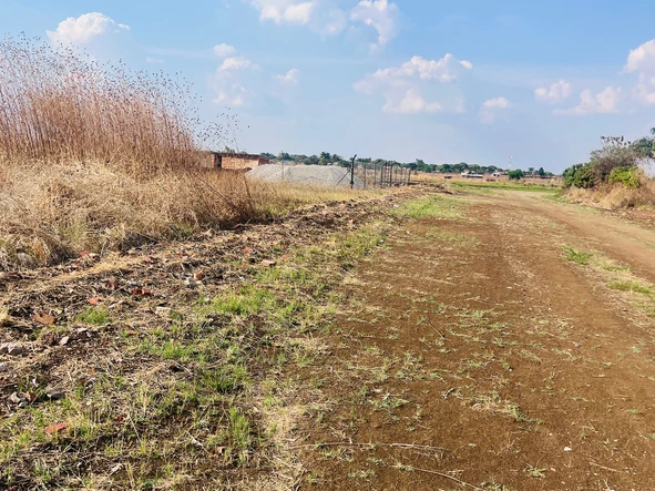 Stands & Residential Land