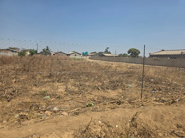 Stands & Residential Land