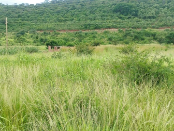 Farm & Agricultural Land