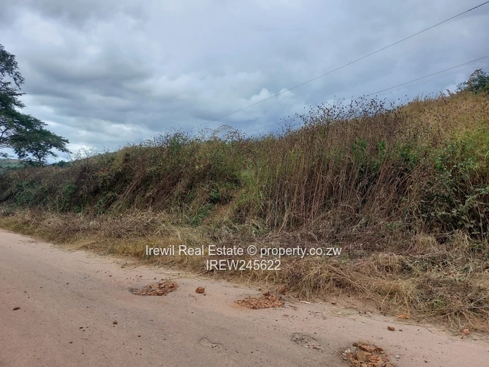 Shawasha Hills Stands on Sale (Sole Mandate)