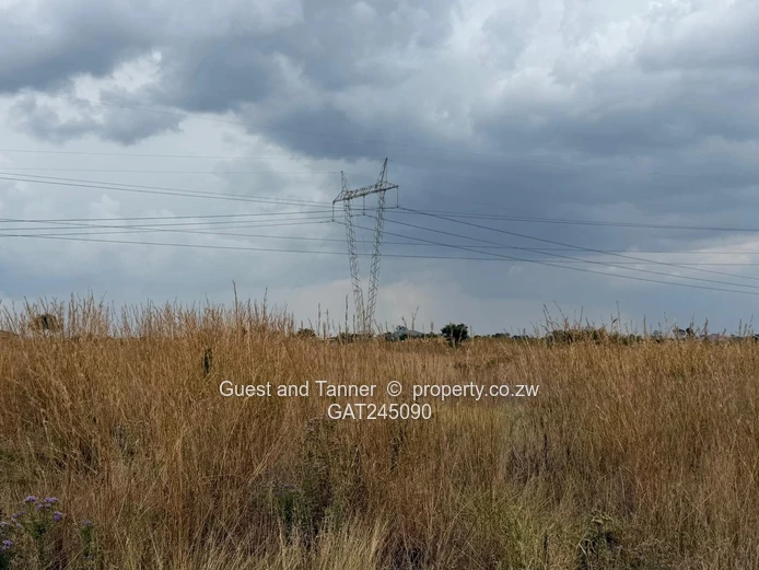 Huntersville Stand for Sale – Prime Location (Sole Mandate)