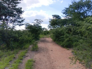 Farm & Agricultural Land