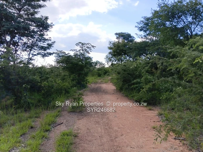 Beatrice Farm For Sale 