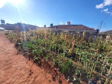 Stands & Residential Land