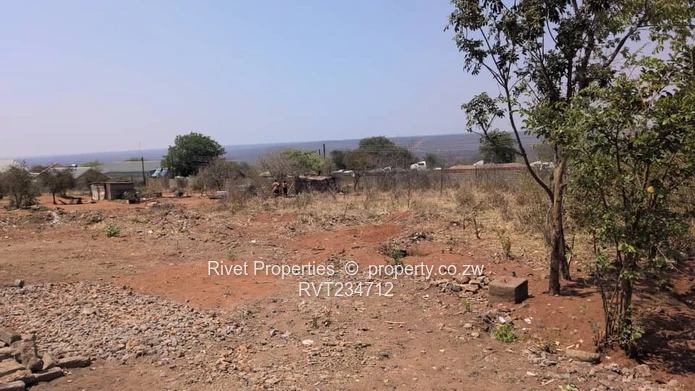 Commercial Stands For Sale