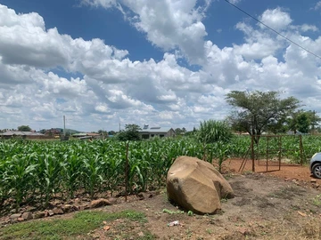 Stands & Residential Land