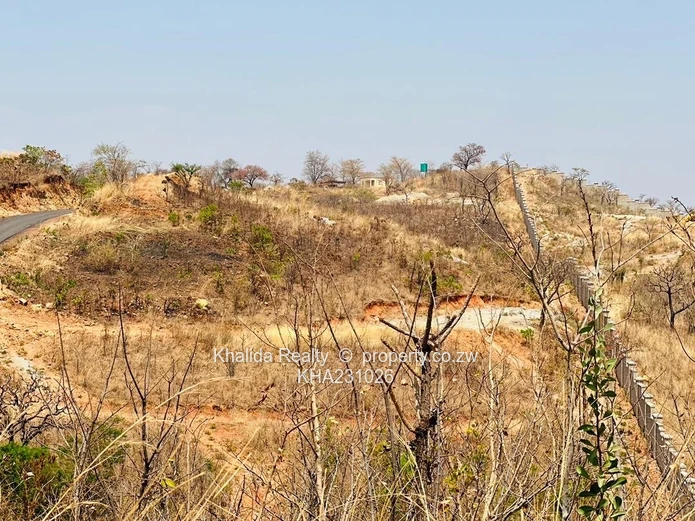 Pomona Stand For Sale  Wild Geese UZ project