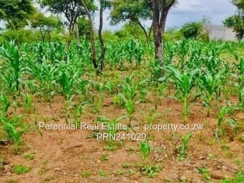 Residential land for sale in Hertfordshire, Gweru