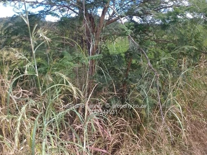 Residential Stand For Sale In Greenhill Bindura